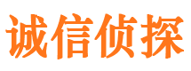 崇明市私家侦探